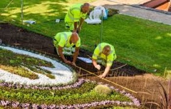  Best Landscaping Companies In Dubai  - Technical-Kh