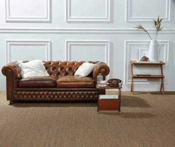 Living-Room-Sisal-Carpet