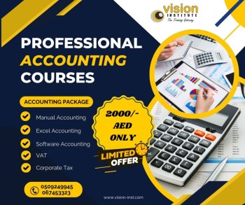 Professional Accounting Course at Vision Institute. Call 0509249945