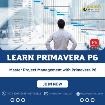 Primavera Course at Vision Institute. Call 0509249945