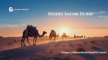 How to Survive an Overnight Desert Safari in Dubai?