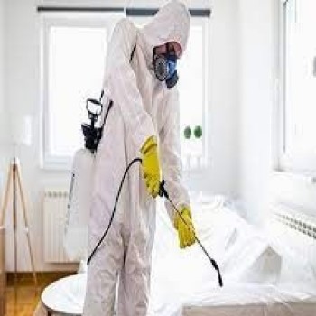 Local Pest Control Company Abu Dhabi - Pest Control Services 