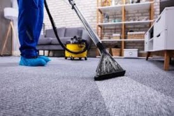 Dubai Cleaning Carpet Sofa Mattress Cleaning Chairs 