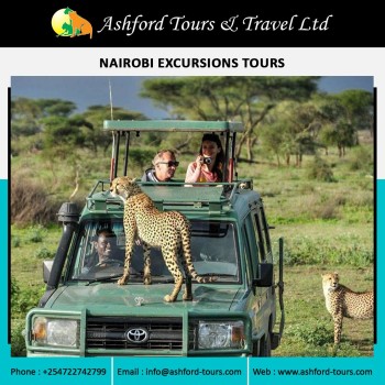 Crocodile Farm Nairobi: An Unforgettable Wildlife Experience