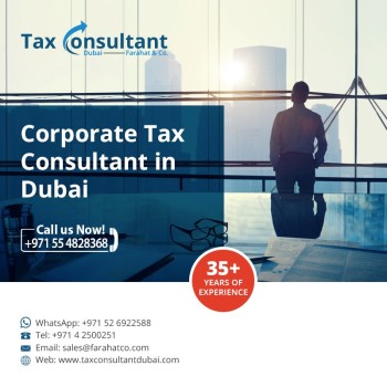 Expert Tax Consultant in Dubai