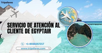 ¿cómo contactar con egyptair?