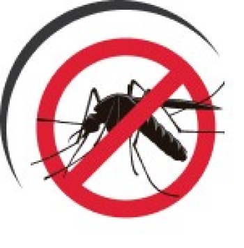 Reliable Pest Control Services in Dubai | Supreme Pest Control 