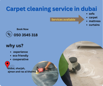 sofa carpet cleaning 15 03