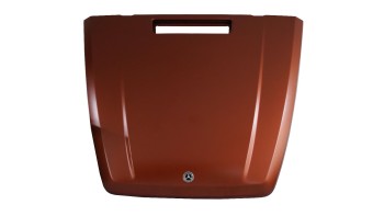 Mercedes-Benz G-63 Hood Orange OEM A4638802700