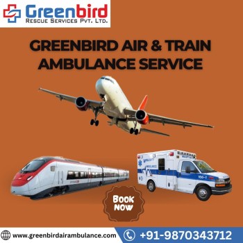 Greenbird Air and Ambulance in Indore provides Efficient and Careful Transfer