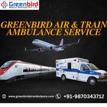  In Jamshedpur, Greenbird Air and Ambulance offers a thorough and effective transfer