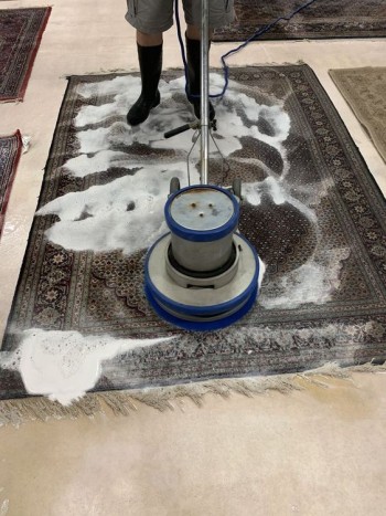Professional office residential carpet sofa clean Dubai