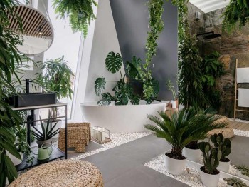 Best Biophilic Design Consultant in America | Harleen McLean