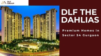  DLF The Dahlias : Modern Homes in Gurgaon