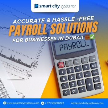 Payroll System, HRIS Payroll Systems & Solutions in Dubai