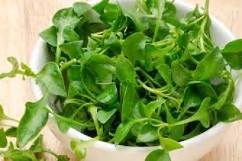 Buy Fresh Watercress Online | Fresh Focus Food