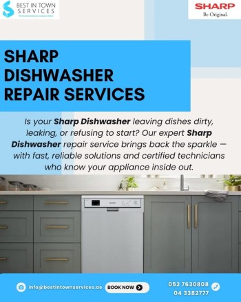 Best In Town Services - Sharp Dishwasher Repair 