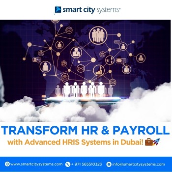 Best HRIS Systems for Small Companies in Dubai, UAE