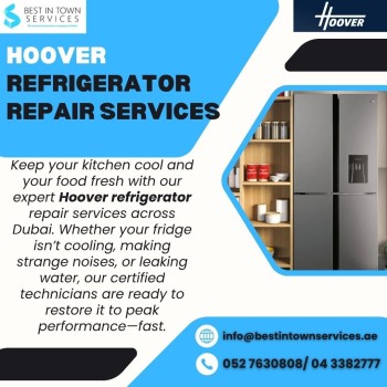 Best In Town Services - Hoover Refrigerator Repair Services 