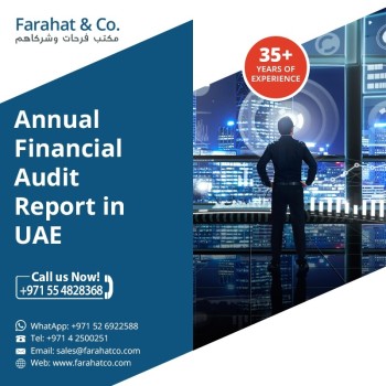 Annual Financial Audit Report in Dubai