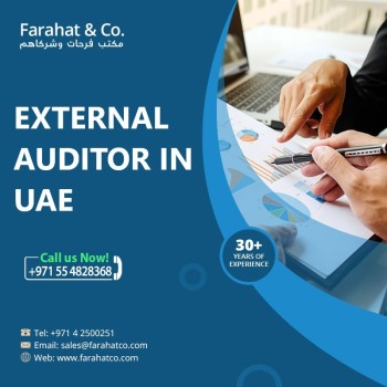 External Audit Services 