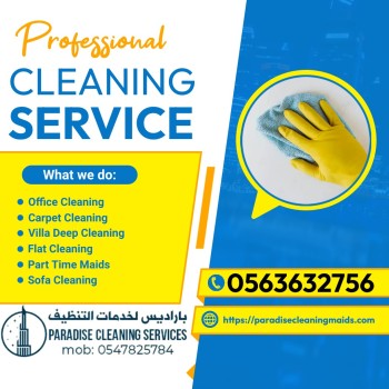 professional cleaning service Instagram flyer - Made with PosterMyWall
