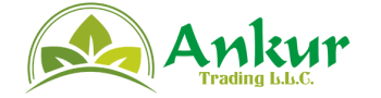 Premium Agro Products Exporter