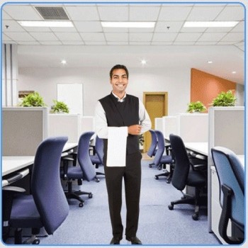 Office Boy Services - Triple Trillium