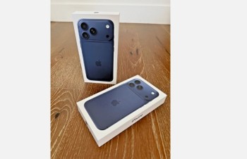 a3