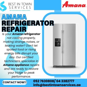 Amana Refrigerator Repair Services 