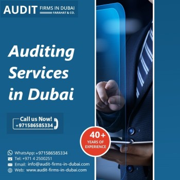 Professional Auditing Services in Dubai uae