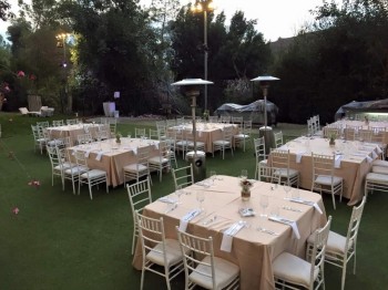 WhatsApp Image 2025-10-24 at 3.55.31 PM