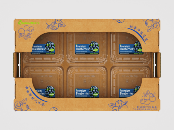 corrugated produce box for blueberries