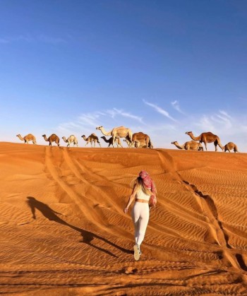 WhatsApp Image 2025-04-13 at 7.27.35 PM (2)