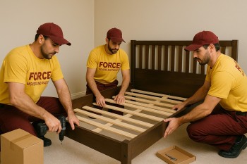 Force Movers and packers (3)