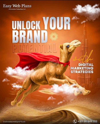 Easywebplans IT LLC Image 2