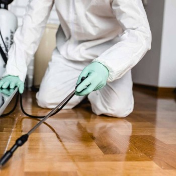 Pest Control Services Dubai | VIPCleaning UAE – Schedule Your Service Today