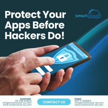 Application Security Auditing | Software Vulnerability Assessment