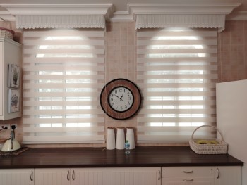 WhatsApp Image 2026-01-17 at 11.50.45 AM