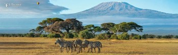 Experiencing Kenya’s Iconic Safari and Coastal Destinations