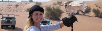 luxury-desert-safari-with-falcon