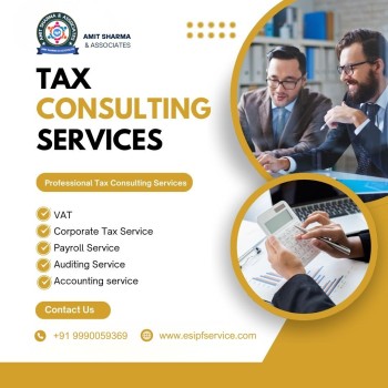 Professional Tax Consulting Services in India | GST, Payroll & Auditing Experts