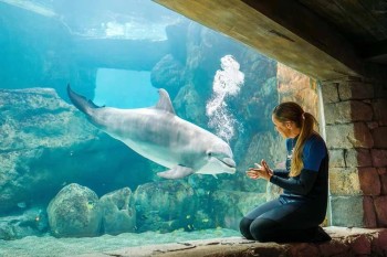 seaworld-2
