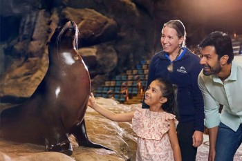 seaworld-abu-dhabi-thumb