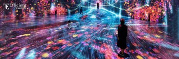 Explore Futuristic Art at Teamlab Phenomena Abu Dhabi