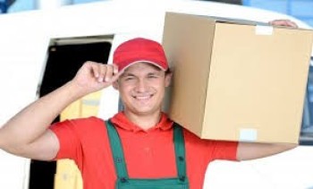 شركت توصيل تاج الامارات للتوصيل الفوري وضمن اليوم بكل ثقه وامان توصيل الحيوانات والقطط 