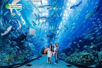 full-day-tours
