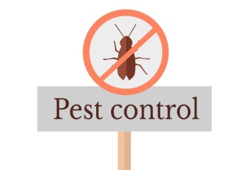 How Al Falak Delivers Reliable Pest Control Services in Dubai
