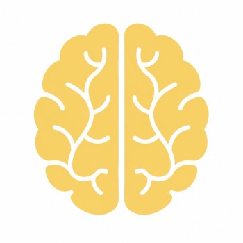 brain_icon_250kb