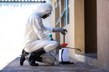 Termite Spray